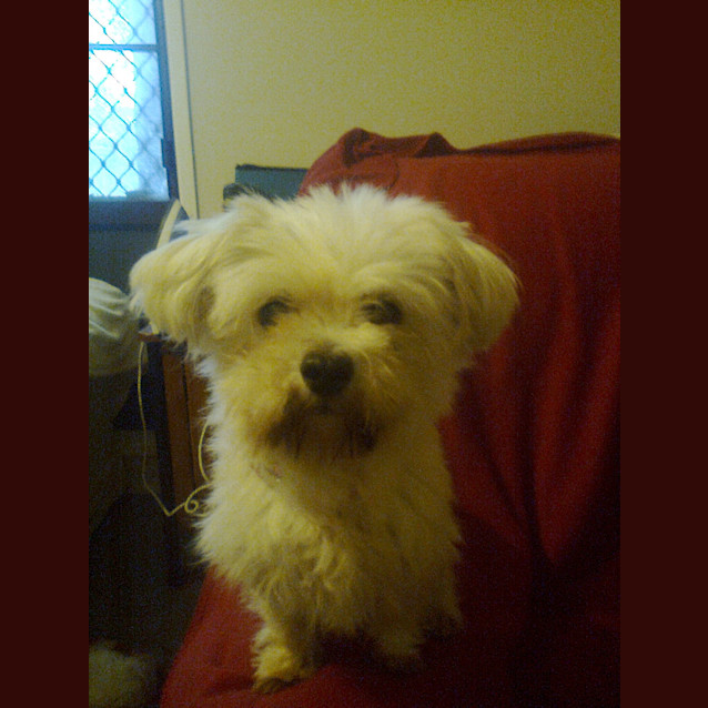 Photo of Zoe