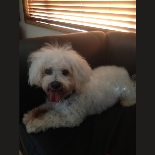 Photo of Scottie