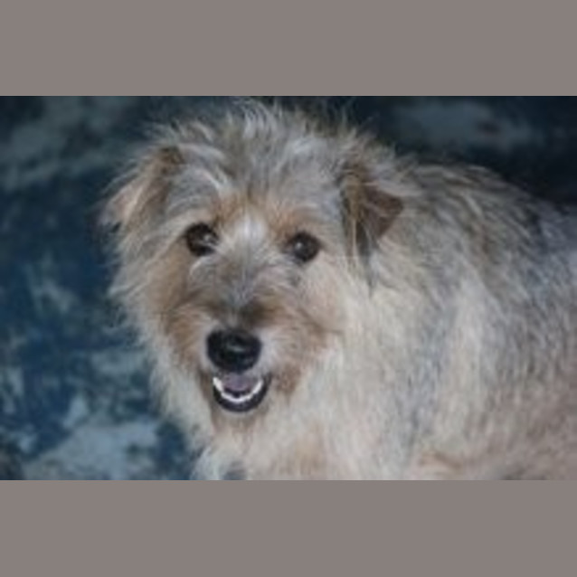Photo of Marli
