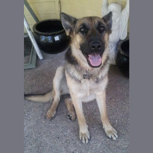 Photo of Lucy