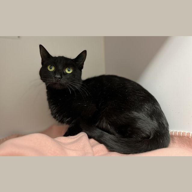 Photo of Clawdia