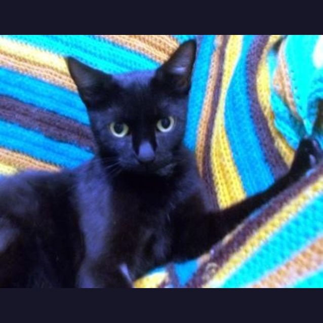Photo of Narla