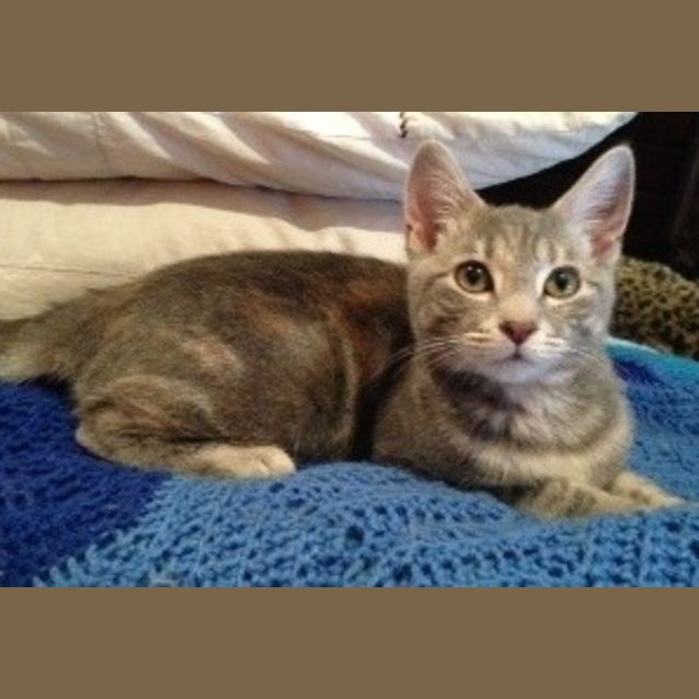 Photo of Marsha