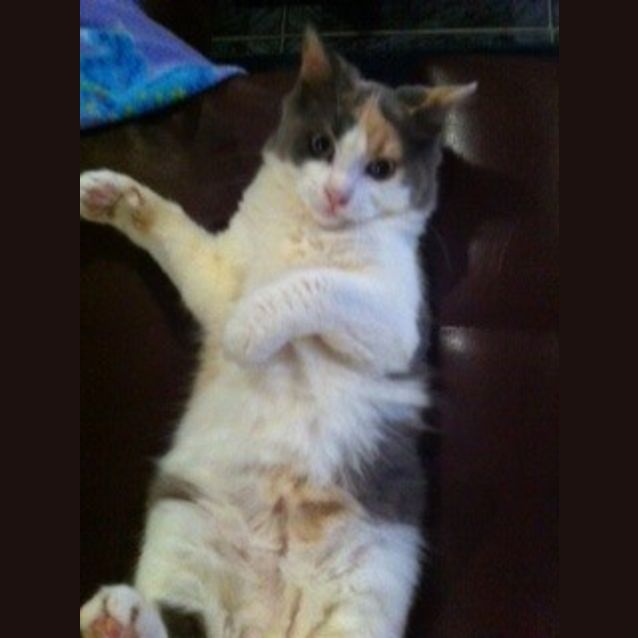 Photo of Jenny