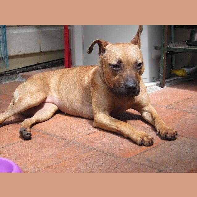Photo of India (On Trial 16/3/13)