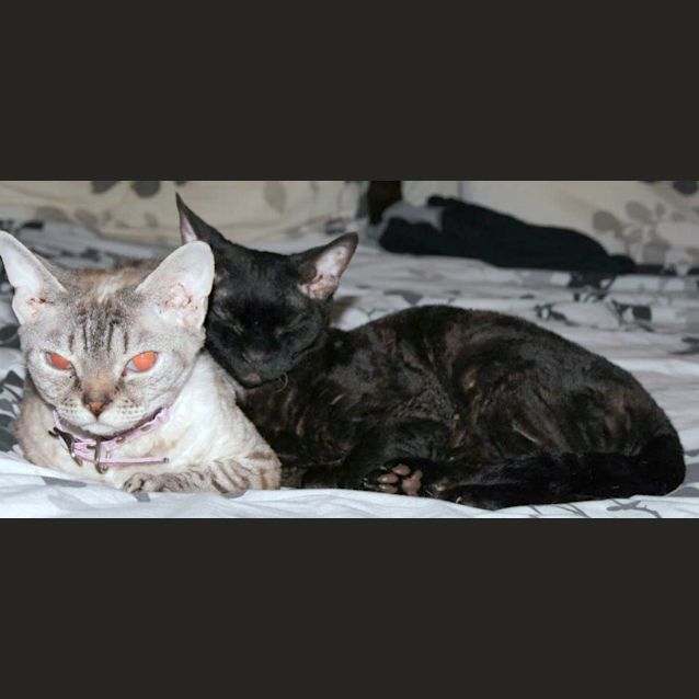 Photo of Marla & Miranda   Special Needs