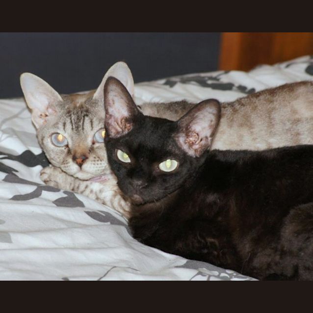 Photo of Marla & Miranda   Special Needs