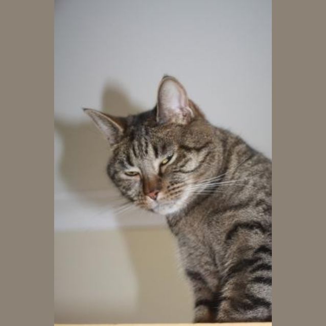Photo of Stryker