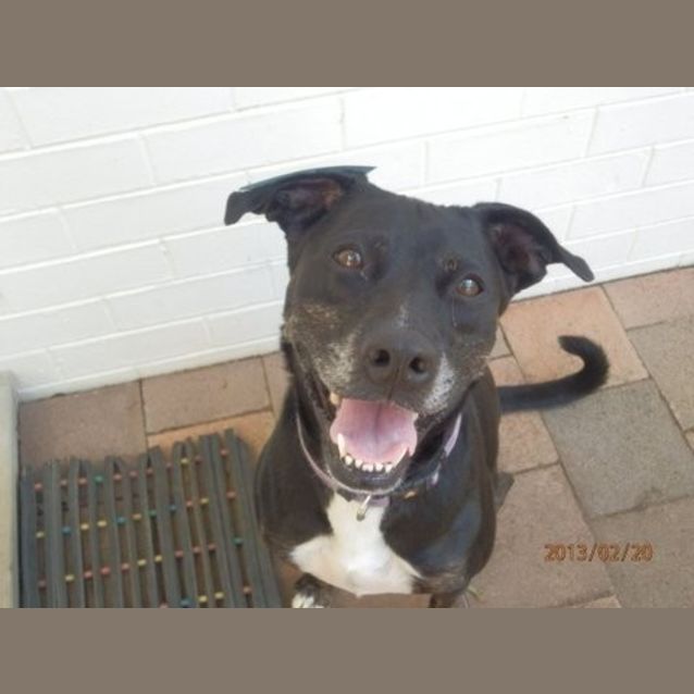 Photo of Tasha Is On Trial In Her New Home