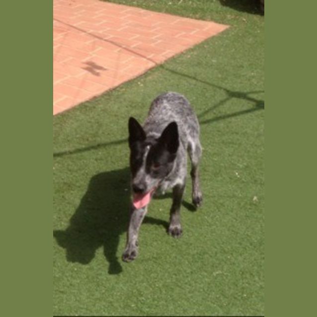 Photo of Lenny