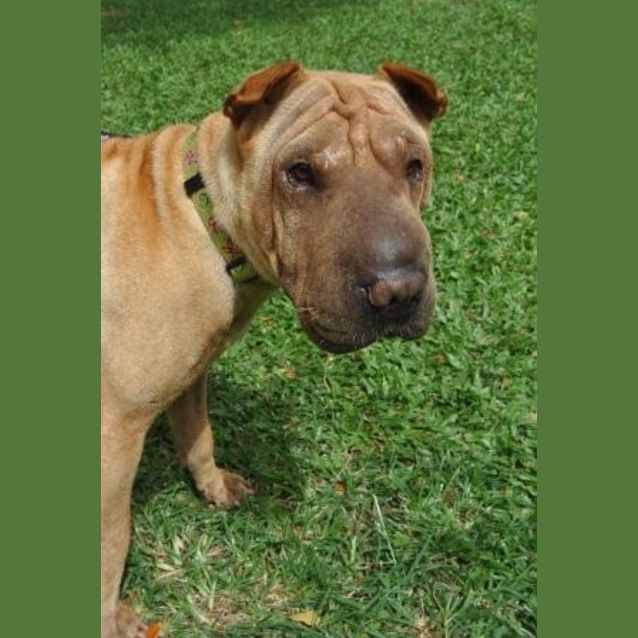 Photo of Blue