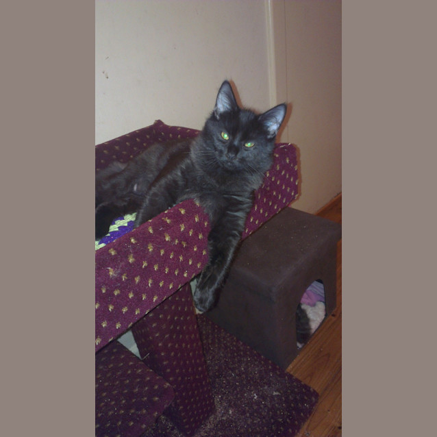 Photo of Rosie