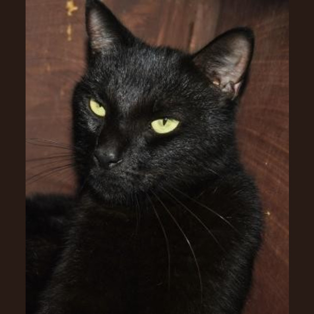 Photo of Lenni