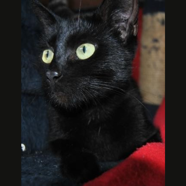 Photo of Zippy
