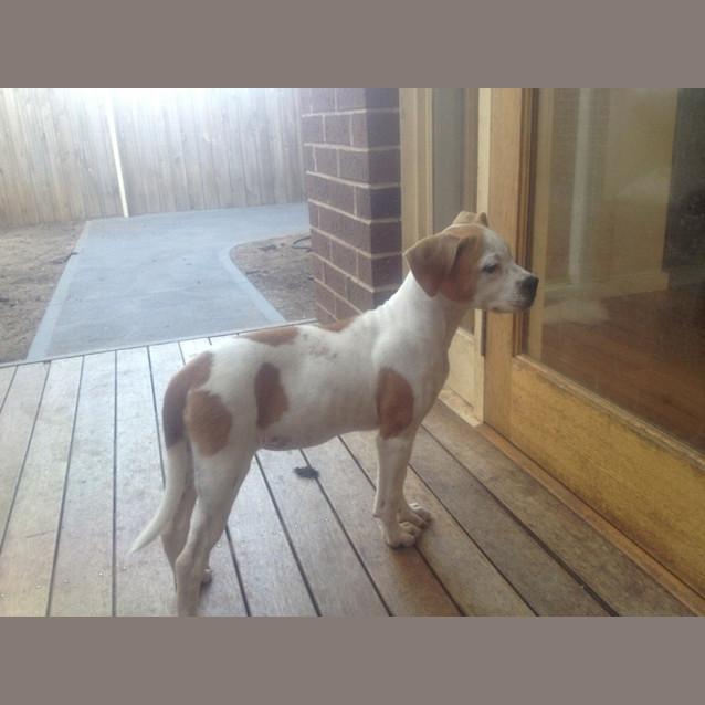 Photo of Nellie