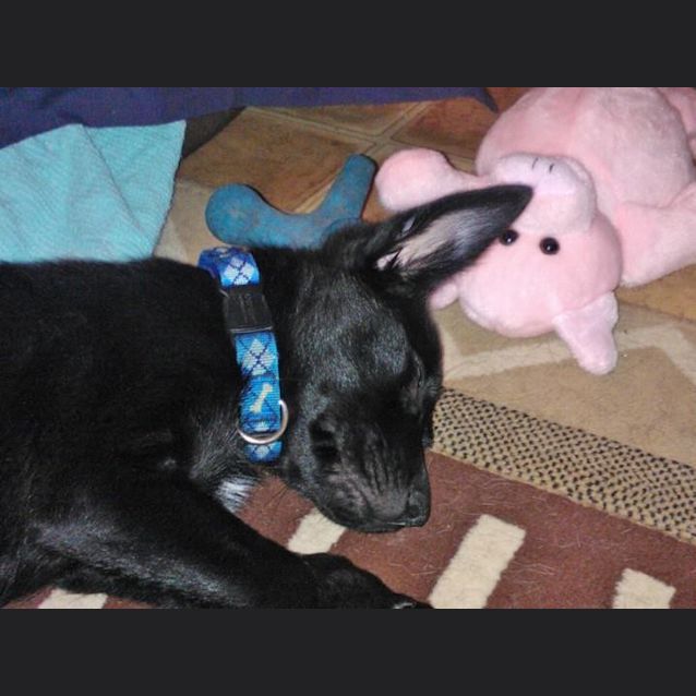 Photo of Flynn