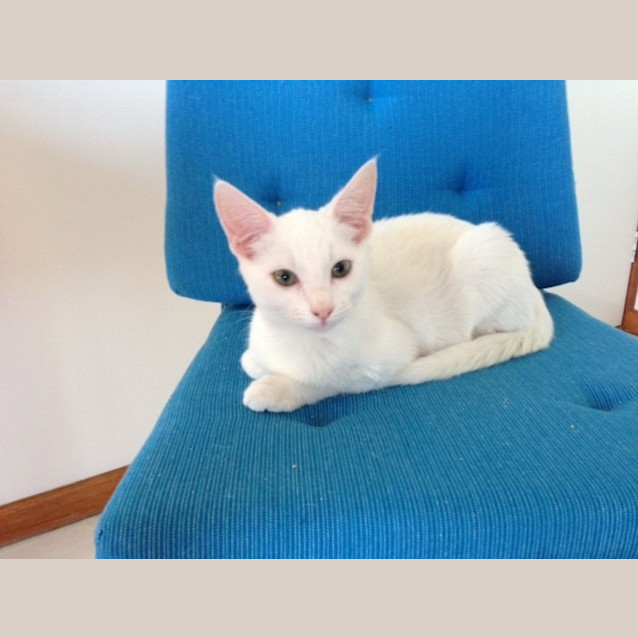 Photo of Spirit