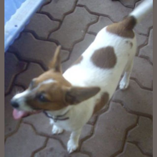 Photo of Sally