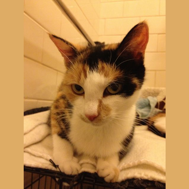 Photo of Maggie