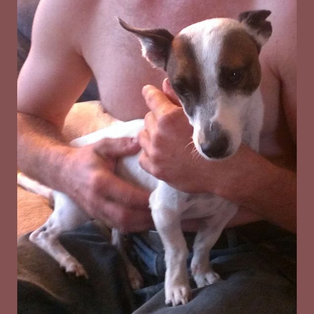 Photo of Mintie