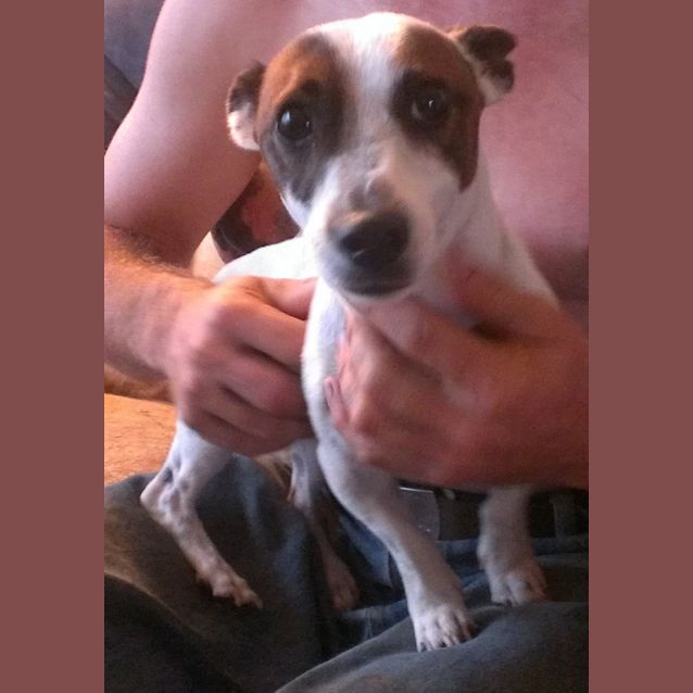 Photo of Mintie