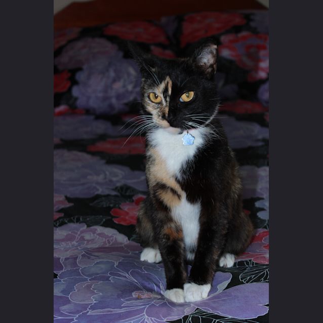 Photo of Sammy