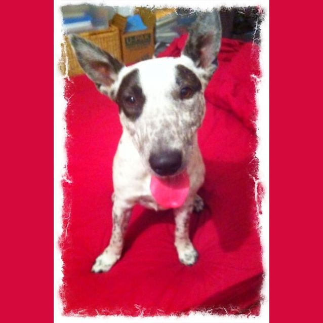Photo of Lila