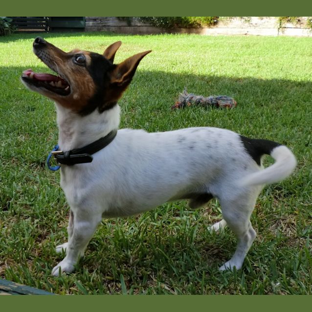 Photo of Mac *On Trial In His New Home*