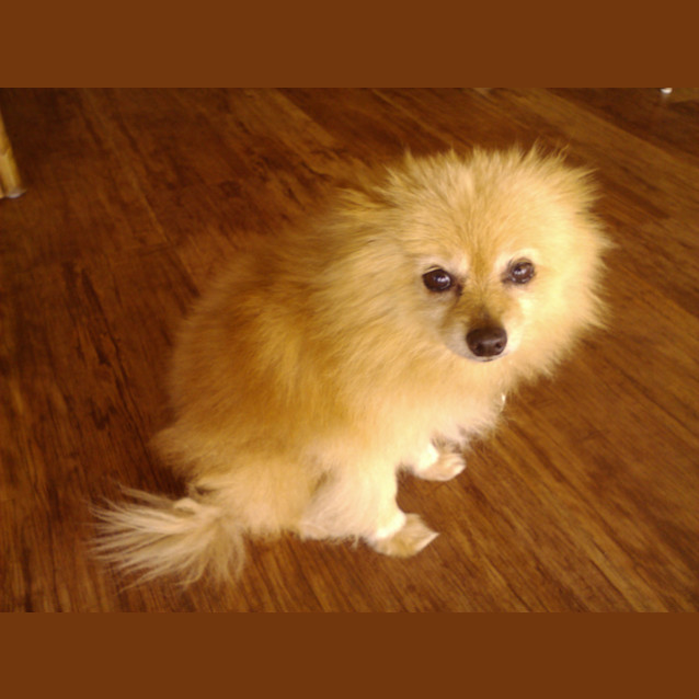 Photo of Sachi