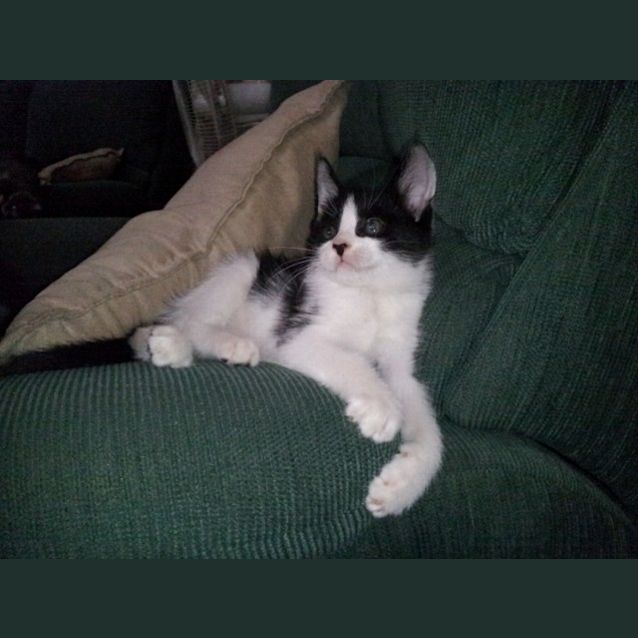 Photo of Bianca