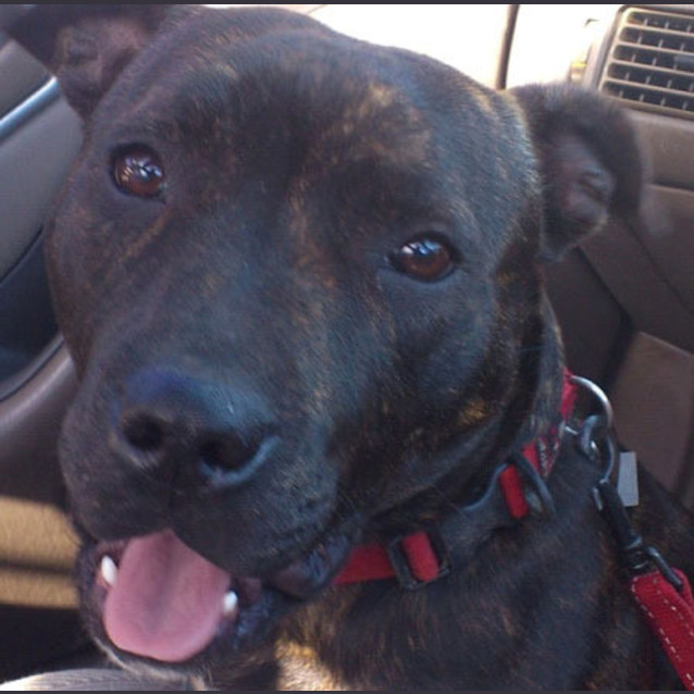 Photo of Zala