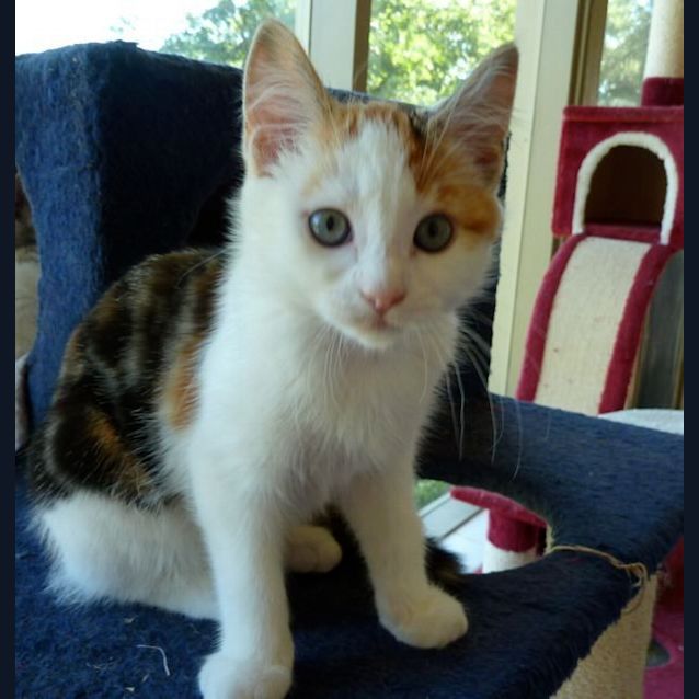Photo of Bella