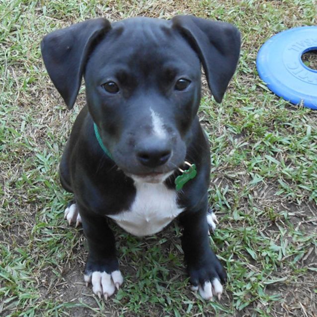 Photo of Roley