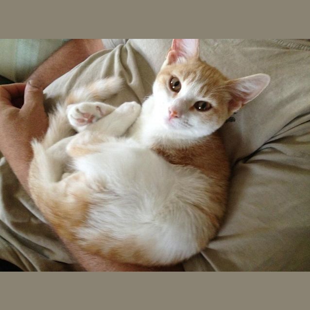 Photo of Barry