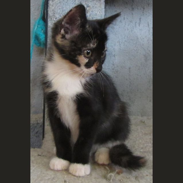 Photo of Eve