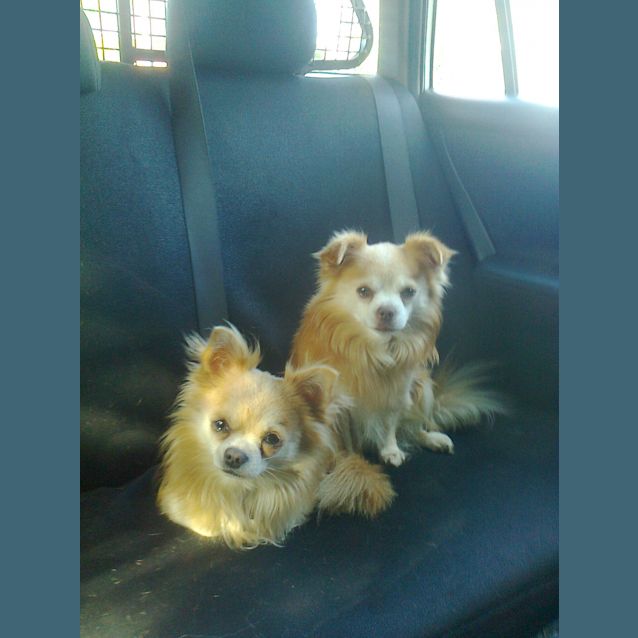 Photo of Monty And Jnr
