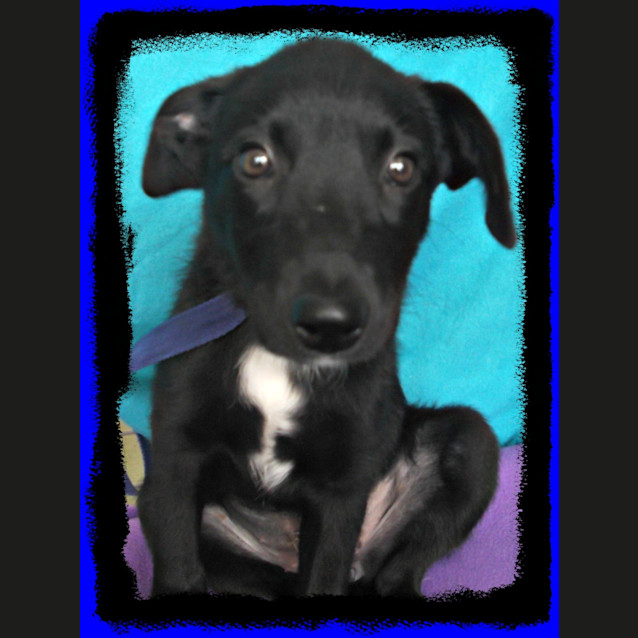 Photo of Tootie
