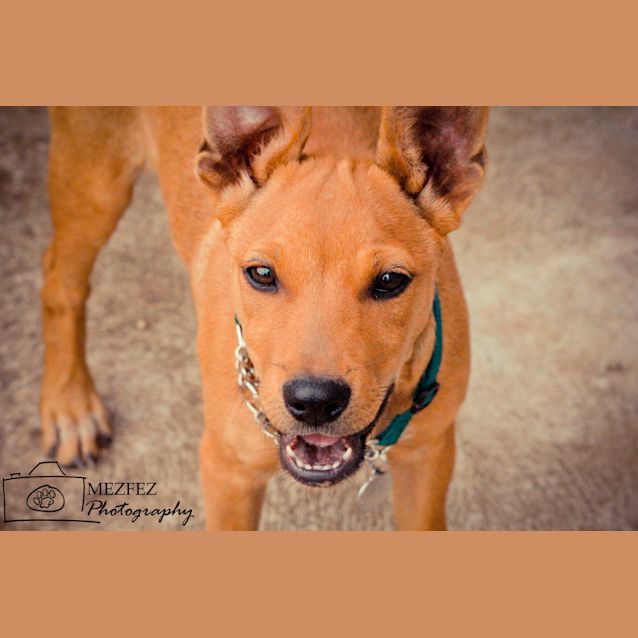 Photo of Chloe