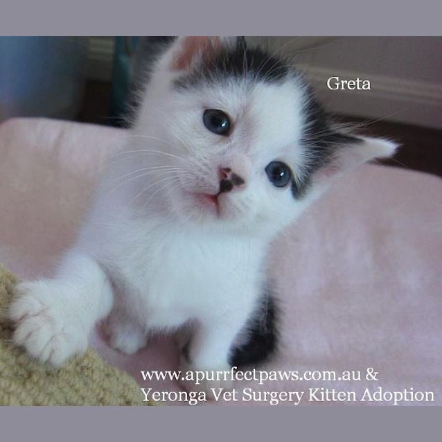 Photo of Greta