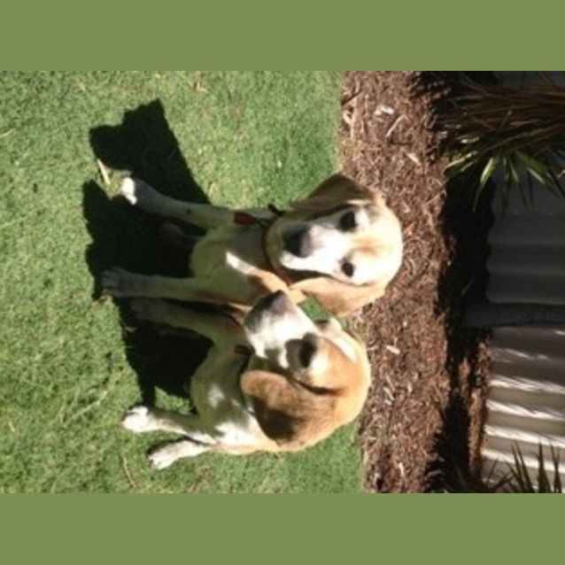 Photo of Angel & Buffy  
