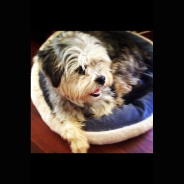 Photo of Audrey 