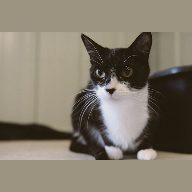 Photo of Teeki & Keeki