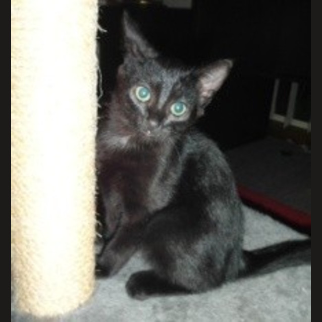 Photo of Charlotte