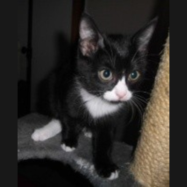 Photo of Connie