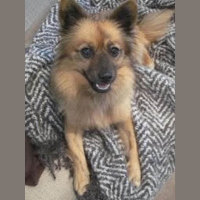 Photo of Miss Petra