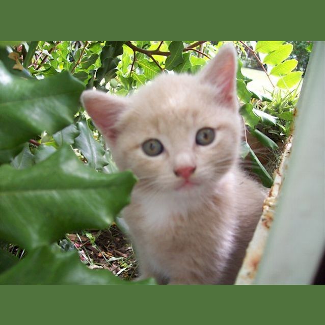 Photo of Monty