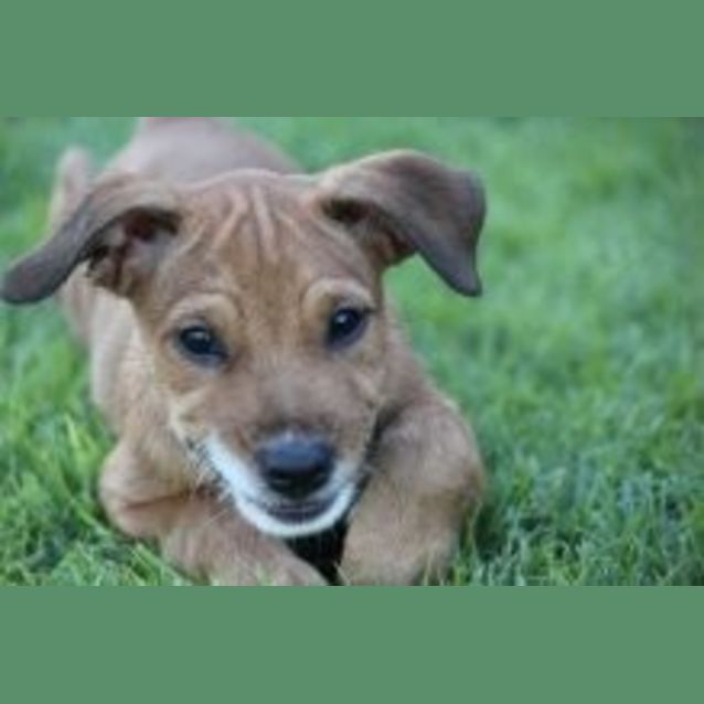 Photo of Happy 