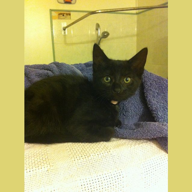 Photo of Mississippi