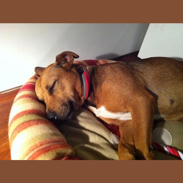 Photo of Zoey