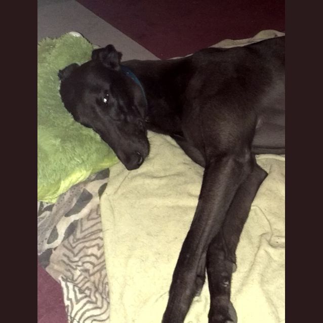 Photo of Tia